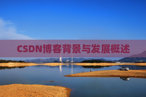 CSDN博客背景与发展概述